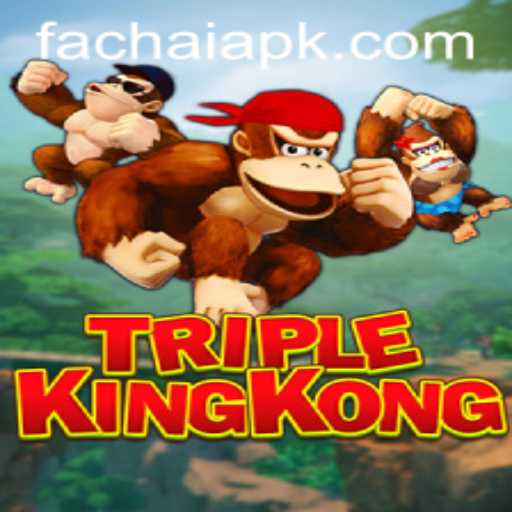 Exploring TripleKingKong: The FACHAI Experience