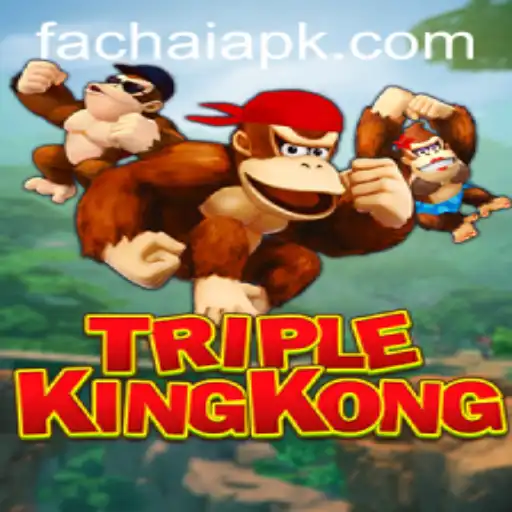 Exploring TripleKingKong: The FACHAI Experience